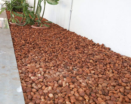 Communal Garden