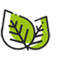 Garden maintenance in kovilambakkam