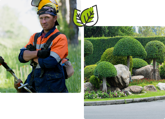 Landscape maintenance in kovilambakkam